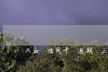 兴业 信用卡 逾期 三期 兴业 信用卡 逾期 三期